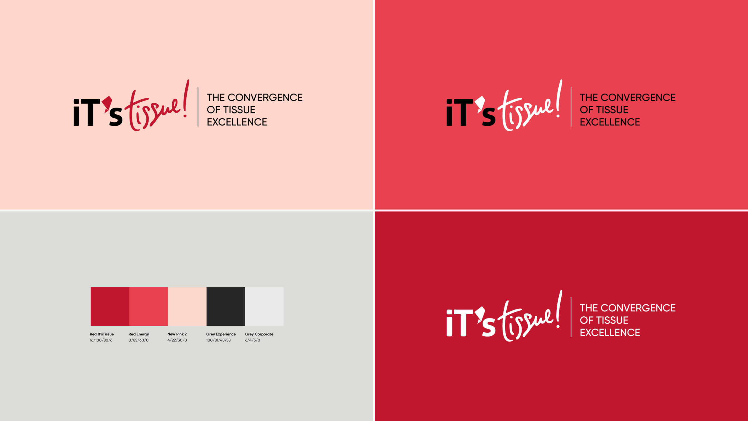 logo e color palette - It's Tissue